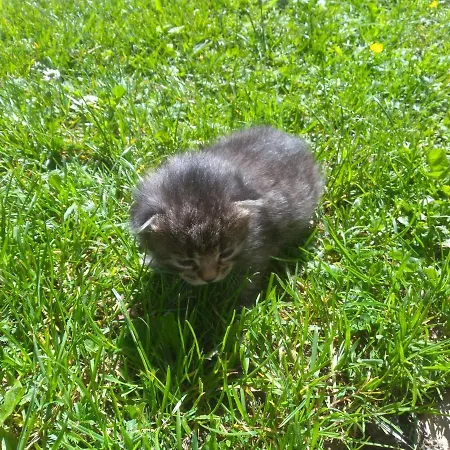 Jochelerhof Κατάλυμα σε φάρμα