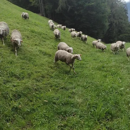Séjour à la ferme Jochelerhof *